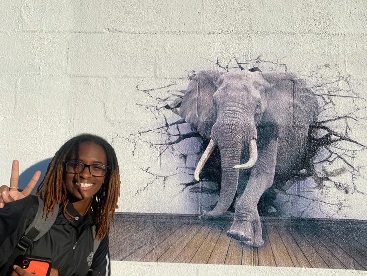 An elephant printed breaking out of a painted block wall