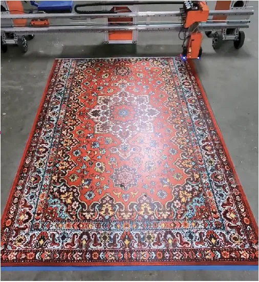 Patterned rug design printed directly onto a floor