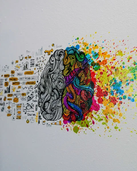 A brain drawn half in black line work and half in bright color, printed on a white wall